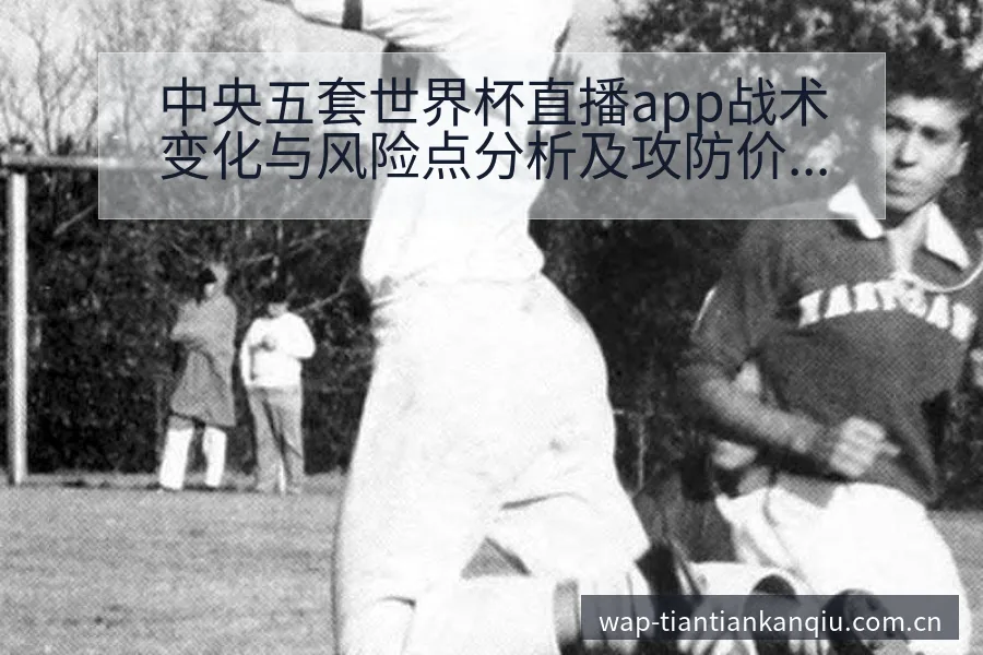 中央五套世界杯直播app战术变化与风险点分析及攻防价值探 - 天天看球